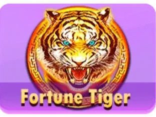 Fortune Tiger game screenshot